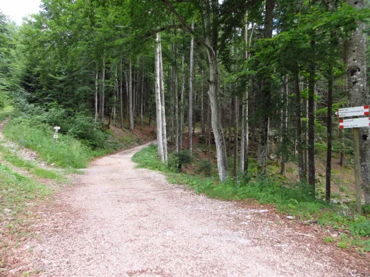 Dettaglio della strada militare