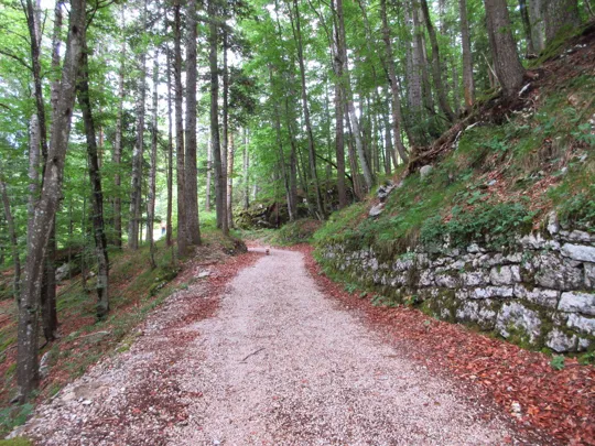 Dettaglio della strada militare