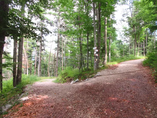 Proseguire a destra in salita