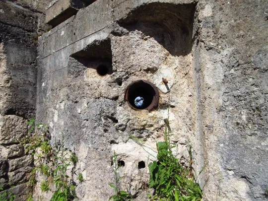 Dettaglio dei tubi ottici