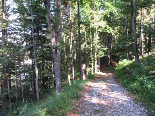 Dettaglio del percorso