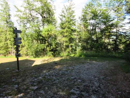 Dettaglio del percorso