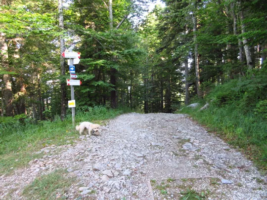 Dettaglio del percorso