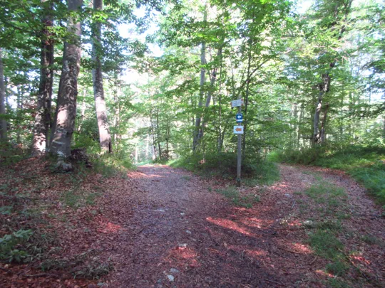 Proseguire a sinistra verso il lago