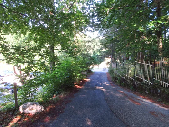 Strada al termine del bosco