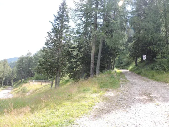 Panarotta - Fravort - bivio per la cima Panarotta