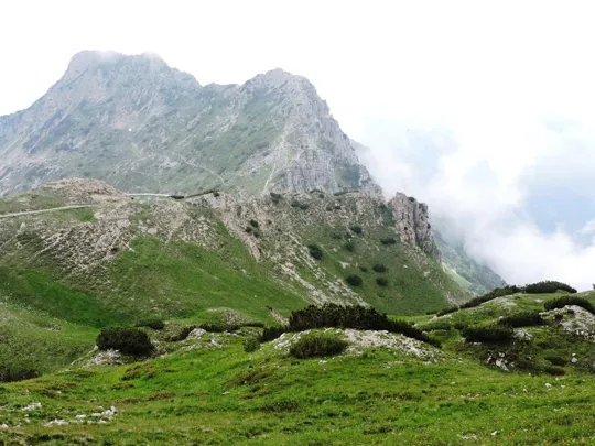 Pasubio - Cima Cuaro, M.Forni Alti