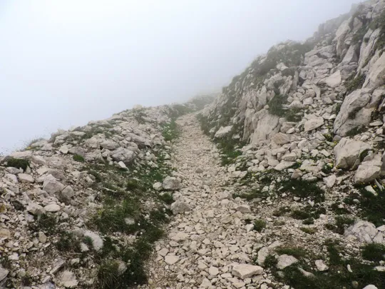 Pasubio - Sentiero sotto a Cogolo Alto