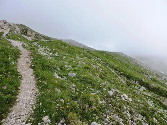 Pasubio - Sentiero verso Cima Palon