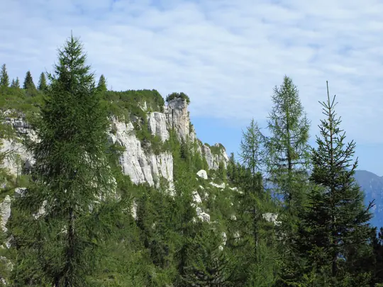 Punta Molina