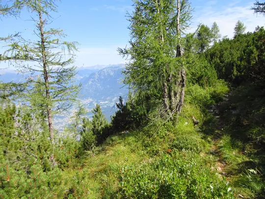 Verso Cima Isidoro