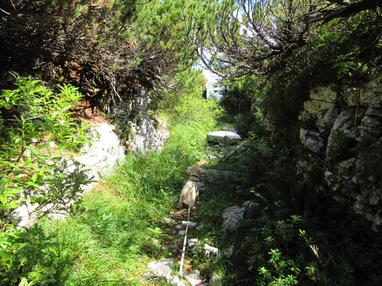 Passaggio nel canale