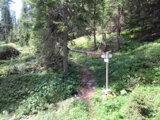 Incrocio con il sentiero 842