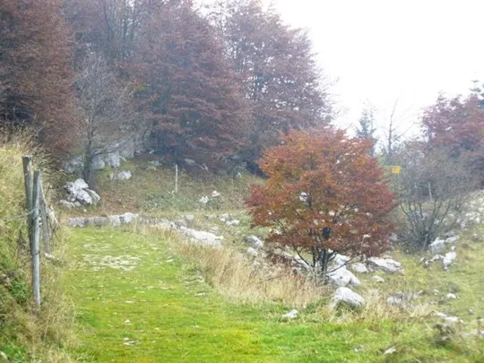 Novegno - Priforà - Sentiero di avvicinamento