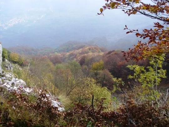 Novegno - Priforà - Panorama