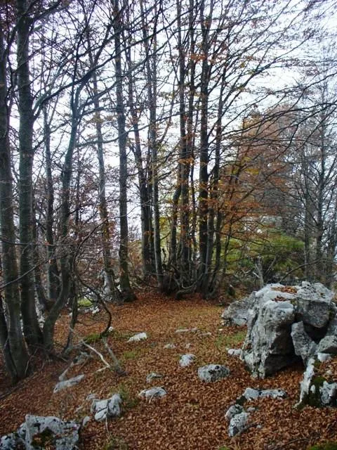 Novegno - Priforà - Grotte e ricoveri