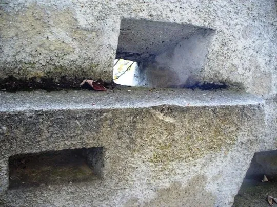 Novegno - Priaforà - Trincea armata