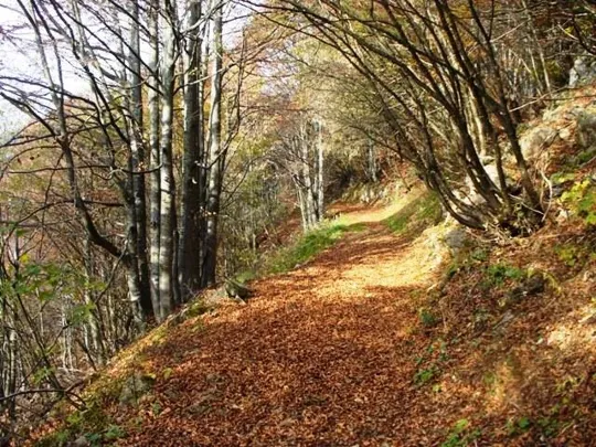 Novegno - Priforà - Sentiero di avvicinamento