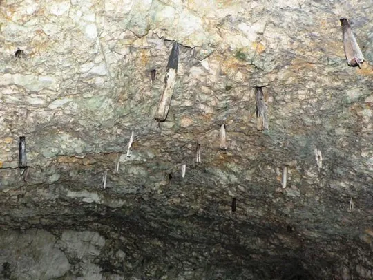 Novegno - Priaforà - Dettagli delle coperture interne