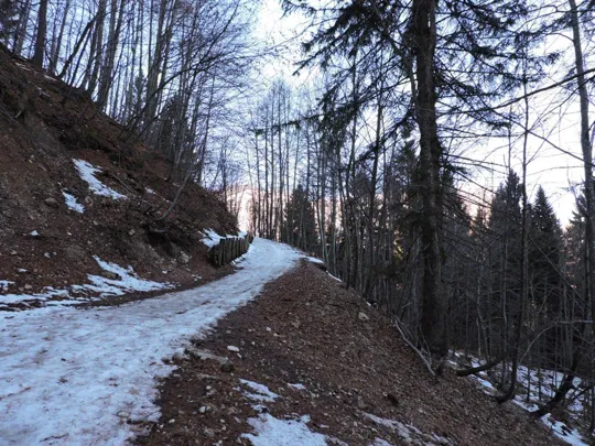 Particolare del percorso