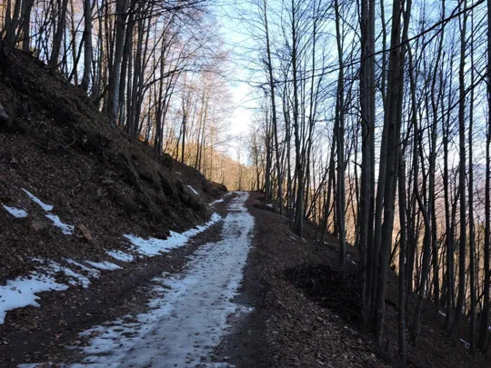 Particolare del percorso