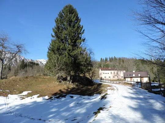 Particolare del percorso