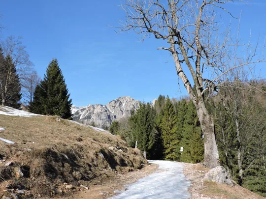 Particolare del percorso