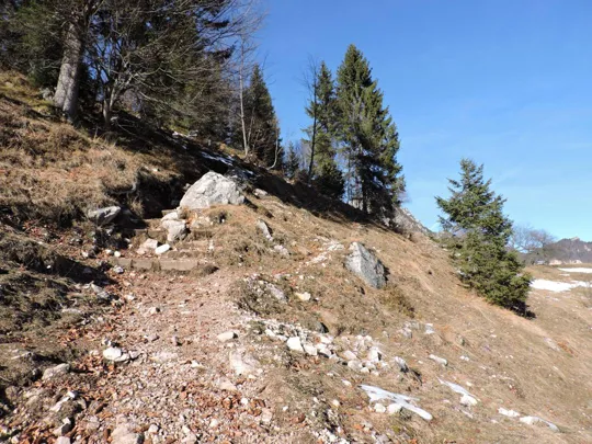 Particolare del percorso