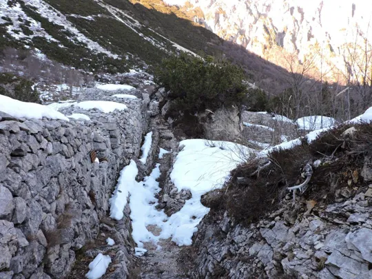 Trinceramenti sul Colle della Gazza