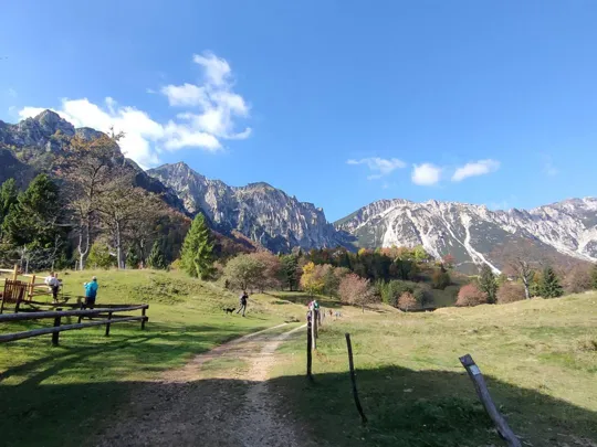 Vicino alla torbiera