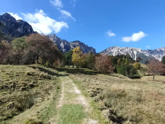 Particolare del percorso