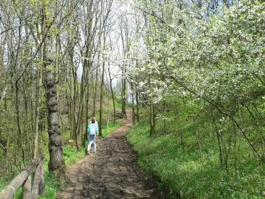 Rocca Pendice - Sentiero