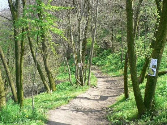 Rocca Pendice - Sentiero