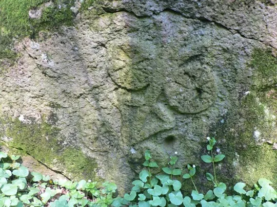 Rocca Pendice - Simbolo dei Carraresi