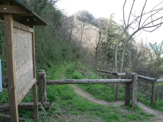 Rocca Pendice - Termine del sentiero dalla parte di Castelnuovo