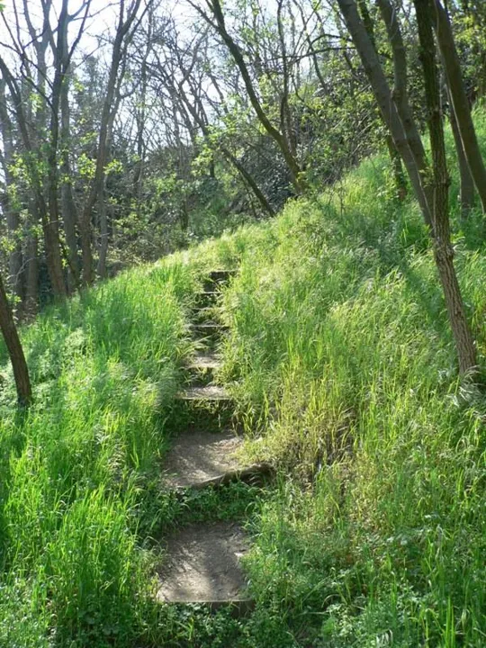 Rocca Pendice - Sentiero