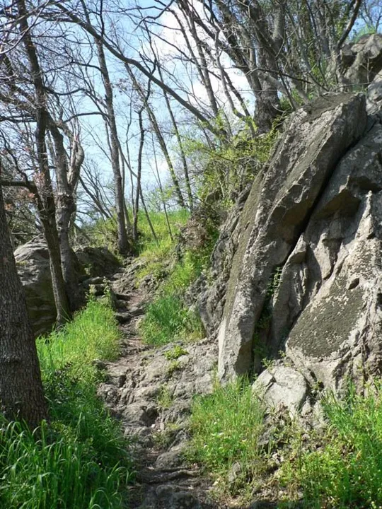 Rocca Pendice - Sentiero