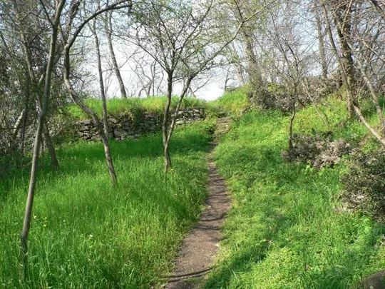 Rocca Pendice - Sentiero