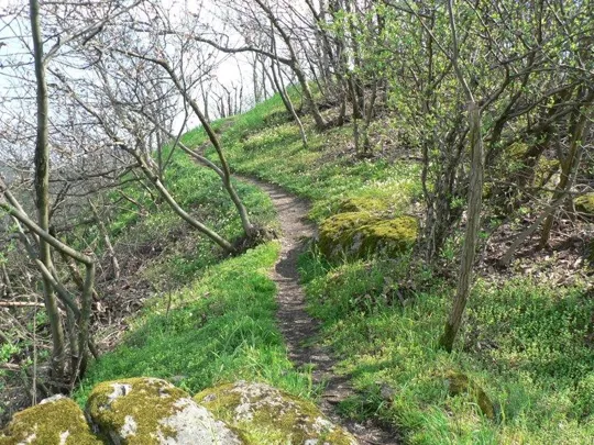 Rocca Pendice - Sentiero