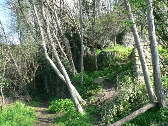 Rocca Pendice - Ruderi del castello