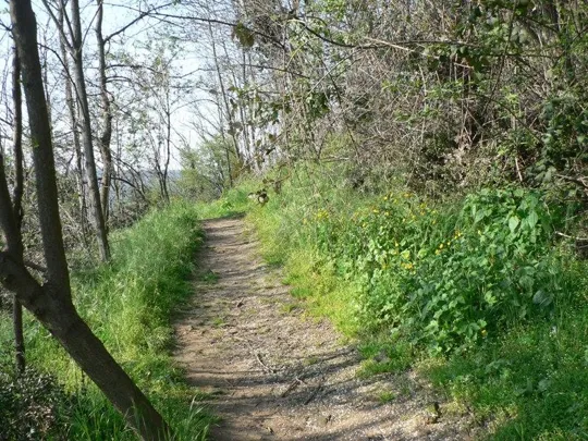 Rocca Pendice - Sentiero