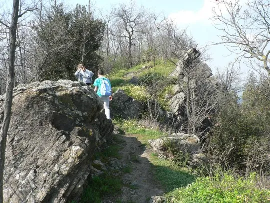 Rocca Pendice - Sentiero sulla cresta