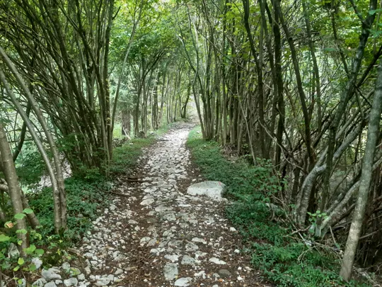 Dettaglio del percorso verso la calcara