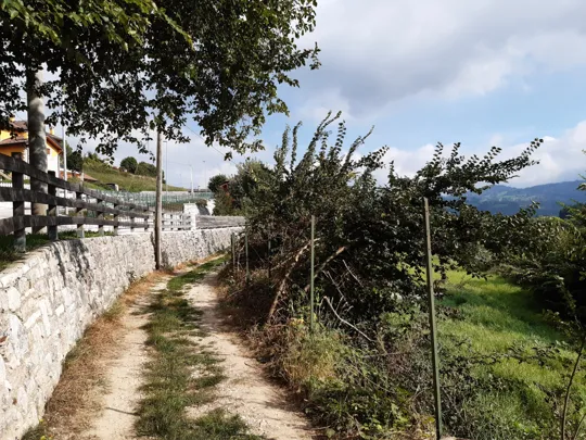 Dettaglio del percorso