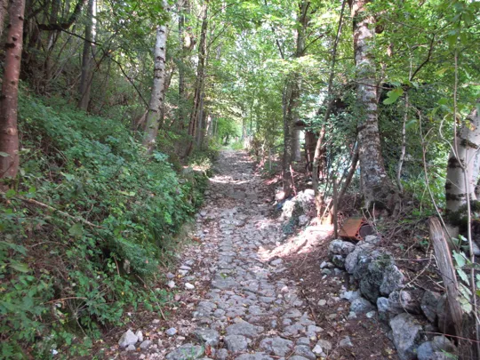 Dettaglio della mulattiera