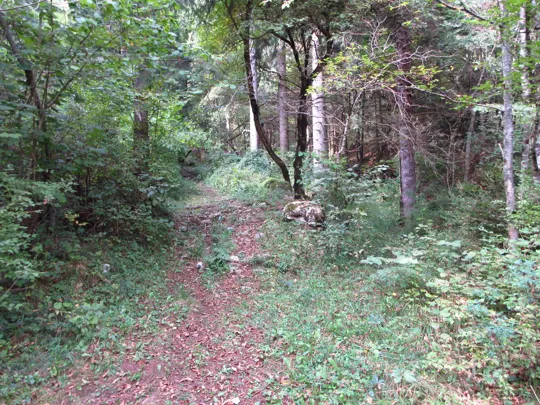 Dettaglio del percorso