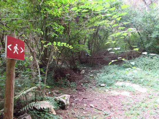 Dettaglio del percorso