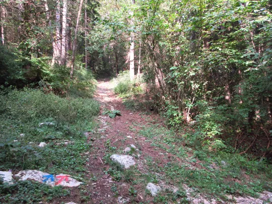 Dettaglio del percorso