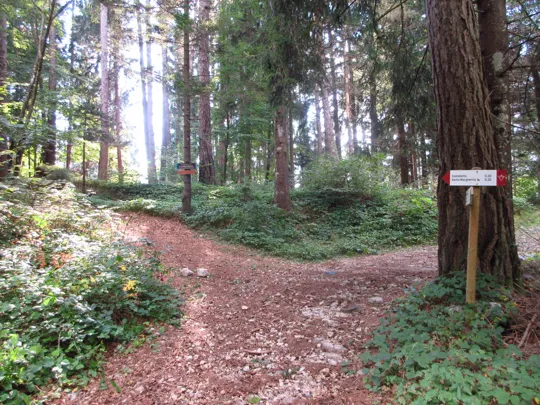 Indicazioni del percorso