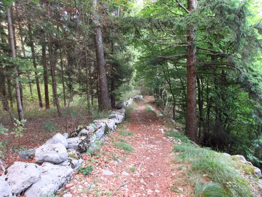 Dettaglio della mulattiera